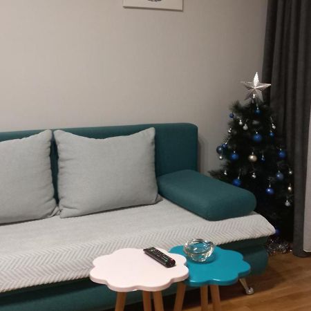 בלגרד Apartment Marija מראה חיצוני תמונה