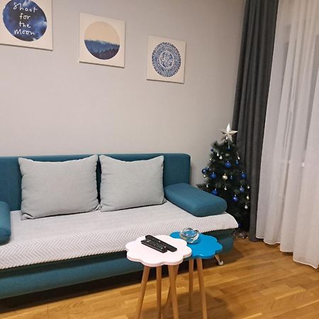 בלגרד Apartment Marija מראה חיצוני תמונה
