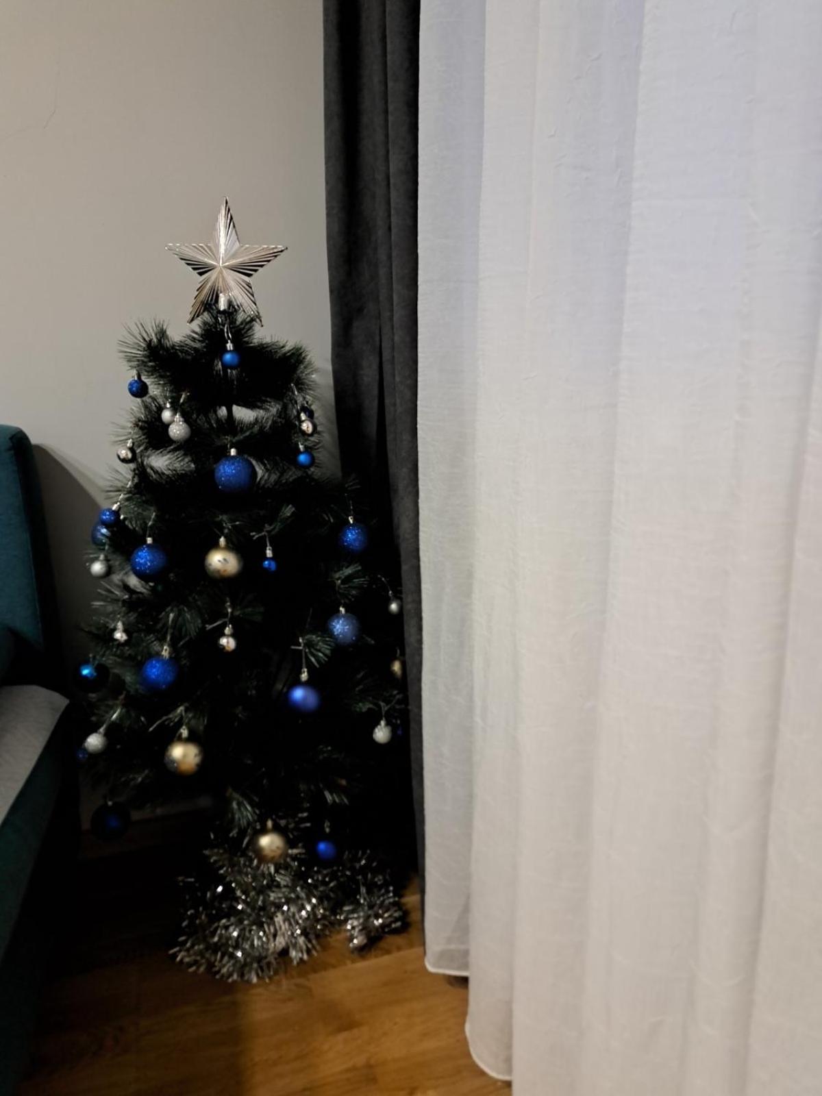 בלגרד Apartment Marija מראה חיצוני תמונה