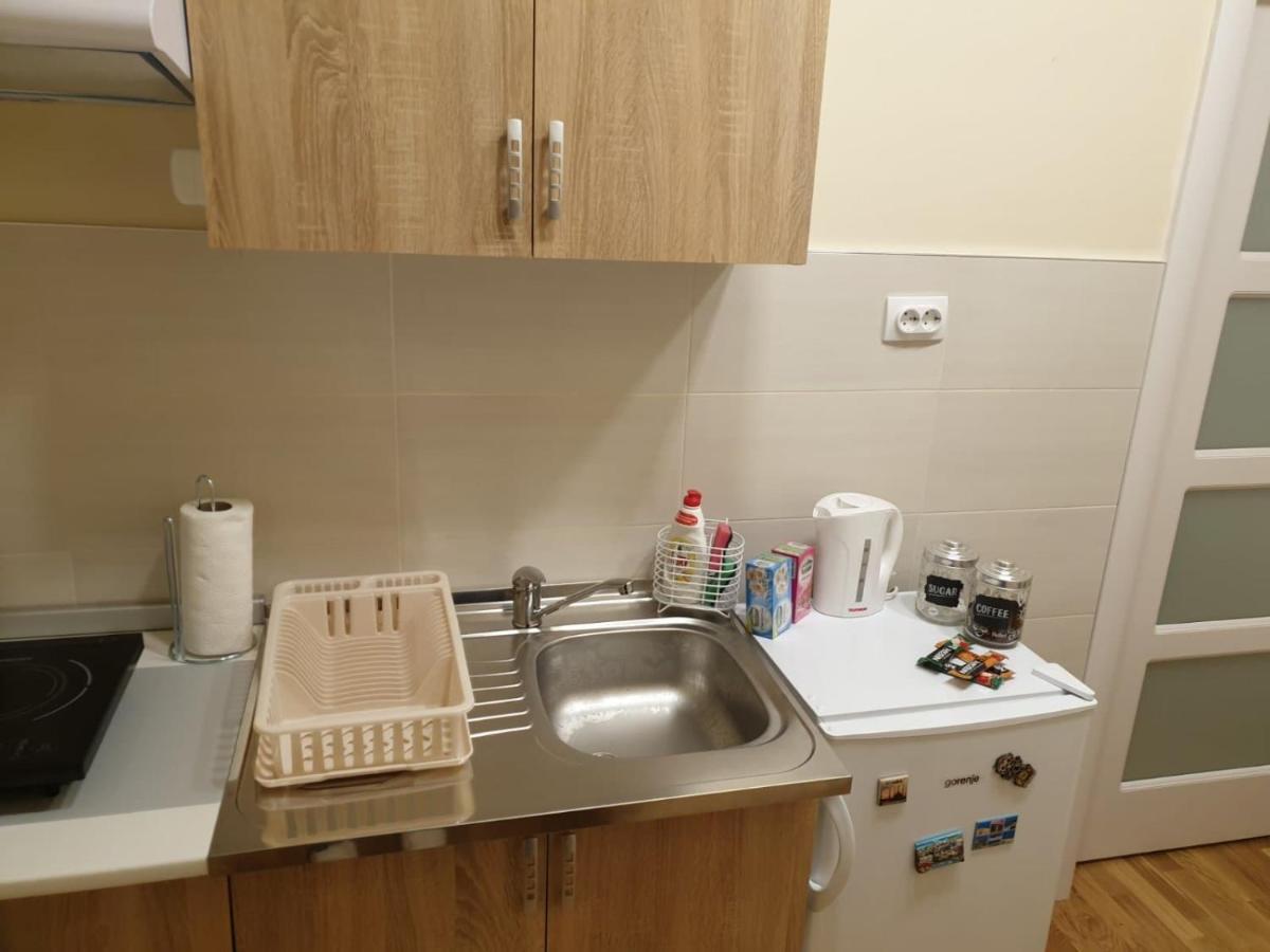 בלגרד Apartment Marija מראה חיצוני תמונה
